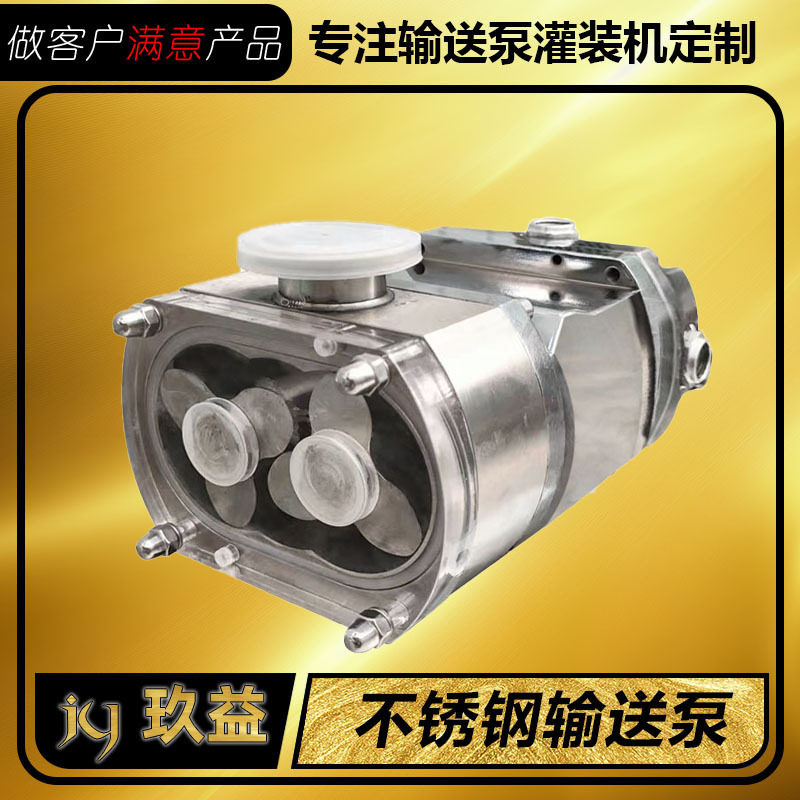 304凸轮转子泵头